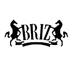 Briz Logo